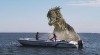 poseidon rex 1.jpg